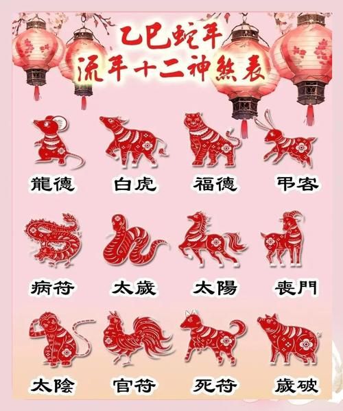 明年属相是什么生肖（明年属相是什么生肖_2025年生肖排序）