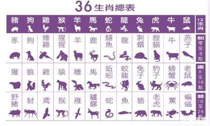 26属相是什么生肖（26属相是什么生肖？）