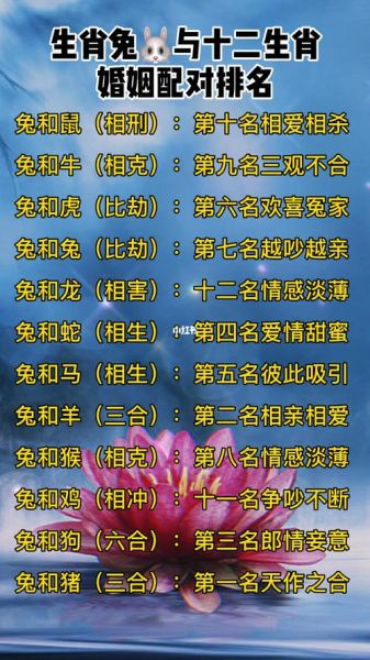 生肖鼠女配偶属相（生肖鼠女结婚最好找什么属相）