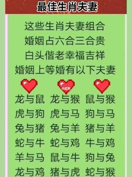 生肖属相配对姻缘直播（生肖属相配对姻缘直播到底在播什么？小白必看）
