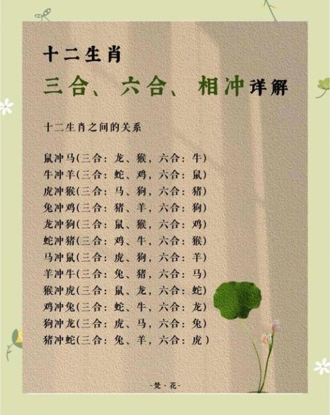 生肖与属相相冲相合（生肖相冲属相不合怎么化解最管用）