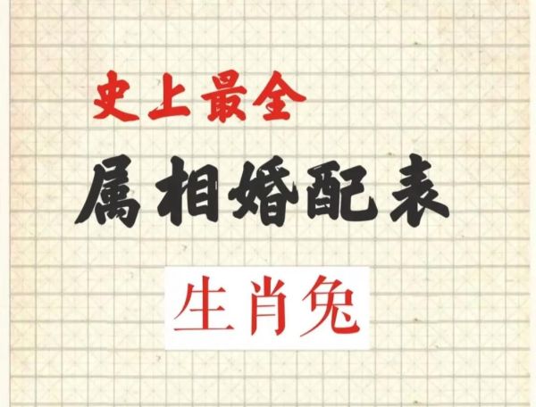 哪个属相适合兔子生肖（属兔的和什么属相最合适）