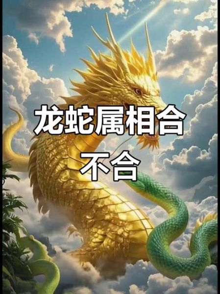 龙蛇生肖最佳配对属相（龙蛇生肖最佳配对属相排名）