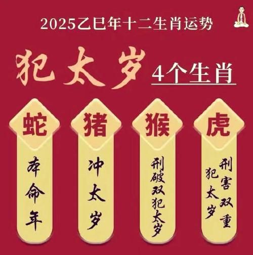 龙虎生肖大属相（龙虎生肖大属相配对禁忌是什么）