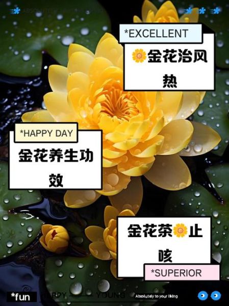 金花属什生肖属相呢(金花是属什么生肖的?)