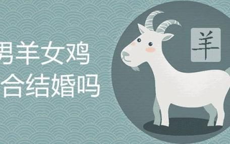 鸡羊生肖属相(鸡羊生肖合不合婚)