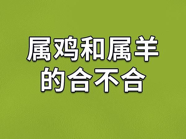 鸡羊生肖属相(鸡羊生肖合不合婚)