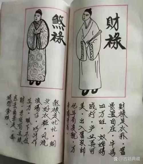 诸葛属相是什么生肖