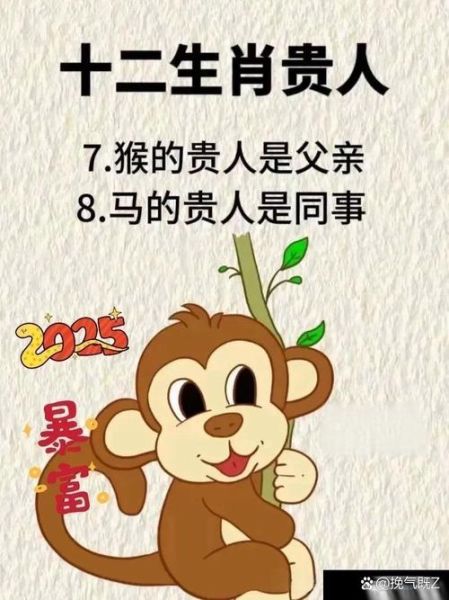 生肖鼠一生的贵人属相（生肖鼠一生的贵人属相解析）