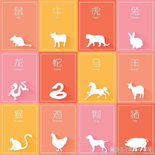 属相大帅的生肖(属相大帅的生肖是什么动物)