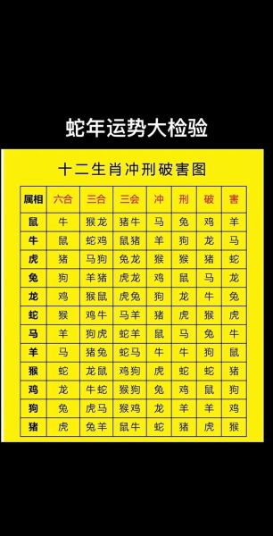 蛇属相相克的生肖（蛇属相相克生肖及化解全攻略）