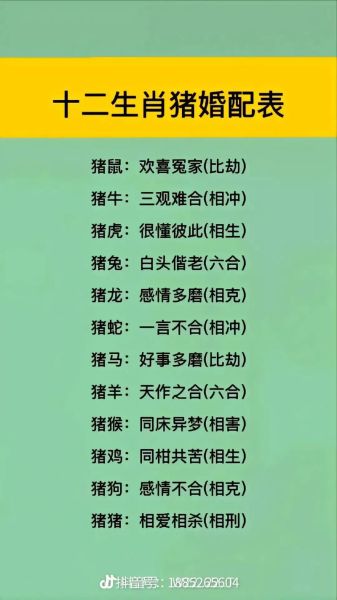 生肖猪相克的属相（生肖猪相克的属相有哪些）