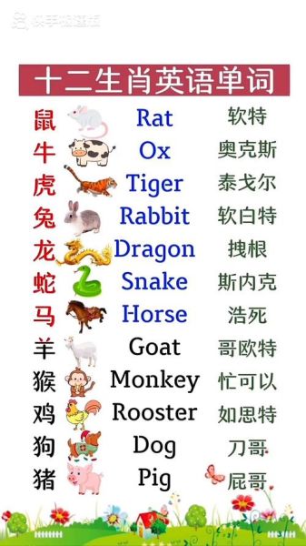 他属相是什么生肖英文（他的生肖英文是什么）