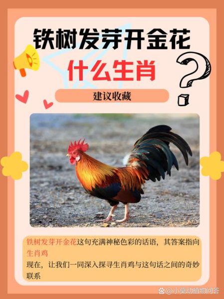 金花属相是什么生肖（金花属相是什么生肖？小白看这里）