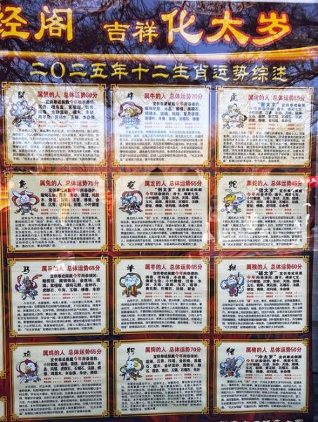 风水上哪里看生肖属相（生肖属相在风水书中看哪里）