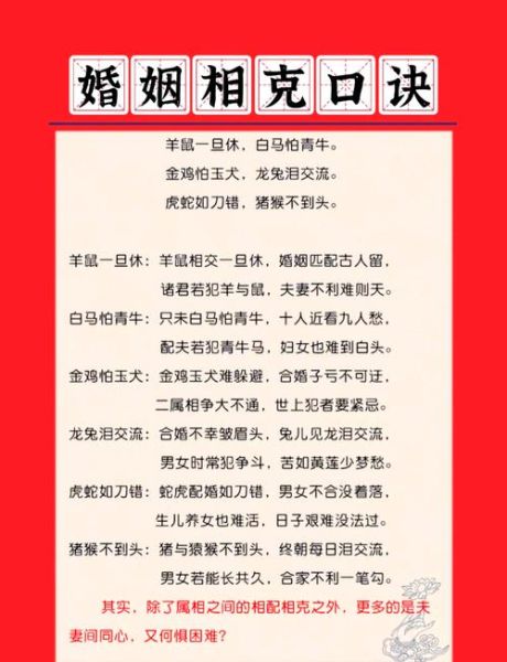 儿媳几个生肖属相相克（儿媳与婆婆五行相克表）