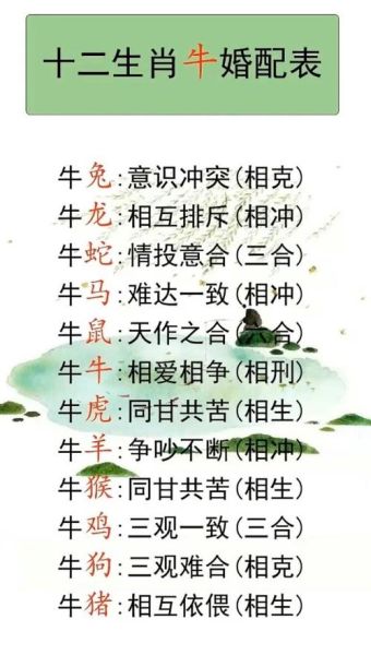 生肖牛合的属相（牛和什么生肖最合拍？小白速查表！）