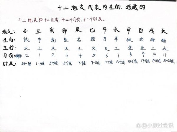 地支怎么判断生肖属相