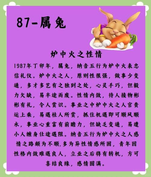 生肖兔属相特性是什么（生肖兔属相特点是什么）