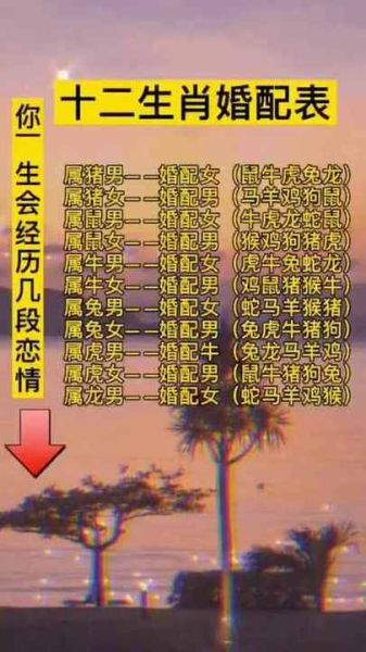 生肖龙配对属相表（生肖龙最佳婚配属相表）
