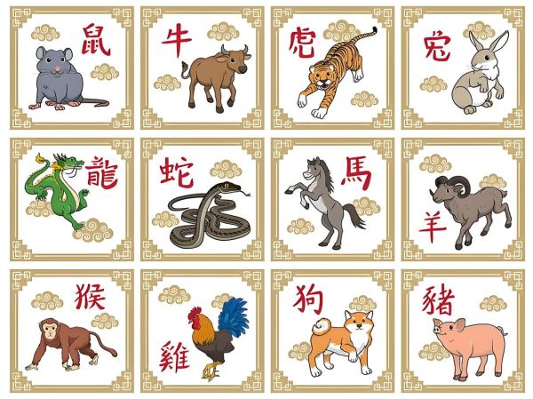 维族 生肖属相（维族有生肖吗？看完秒懂）