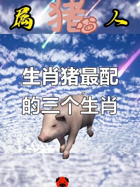 生肖猪女最佳配偶属相（属猪女最合适的婚配属相是什么？）