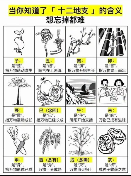 属相轮回的生肖（属相轮回的生肖究竟几年一个轮回）