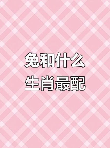 属相兔生肖匹配（属兔和什么属相合得来？）