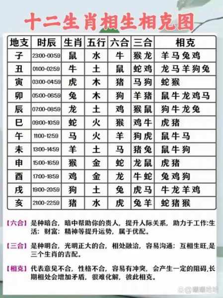 生肖配对表 属相相克（属相相克表怎么看）