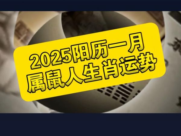 预测老鼠生肖属相（2025年属什么生肖属相）