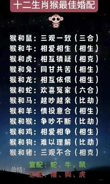 生肖与属相最佳搭配表（2025最新生肖婚配宜忌全表）