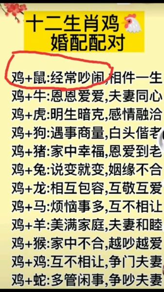 生肖鸡合婚的属相（生肖鸡和什么属相最配婚姻）