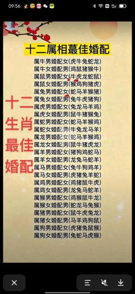 生肖猪适合什么属相（属猪最佳婚配属相全指南）