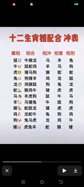 生肖排行大属相（生肖排行大属相到底怎么排）