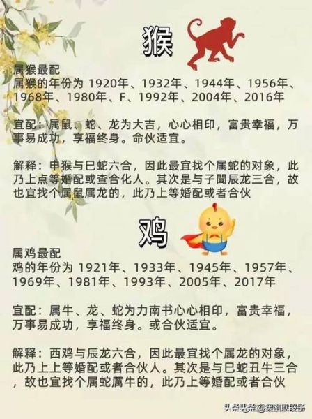 生肖猴姻缘属相（生肖猴姻缘属相配对表）