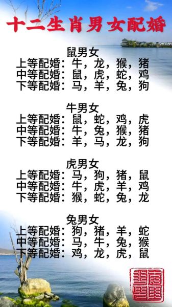 属对应什么生肖属相最好（属什么生肖配对最好？男女婚配速查表）