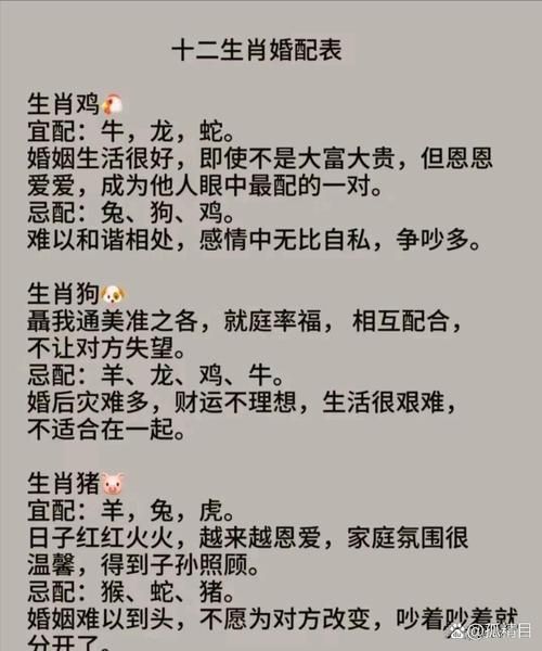 生肖相配不宜什么属相
