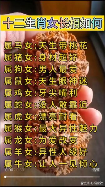 生肖马的属相女孩（生肖马的属相女孩性格特点）