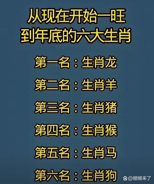 这个月属相是什么生肖（2024年6月属什么生肖？小白也能看懂）