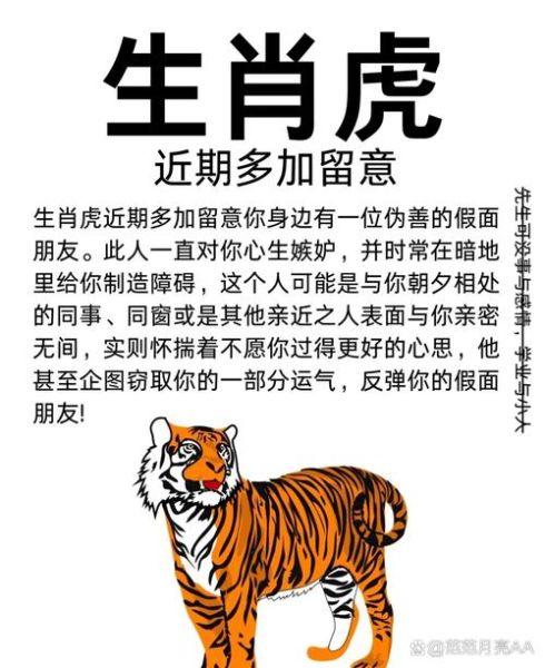 虎年冲到什么生肖属相（虎年冲到什么生肖属相？小白必读）