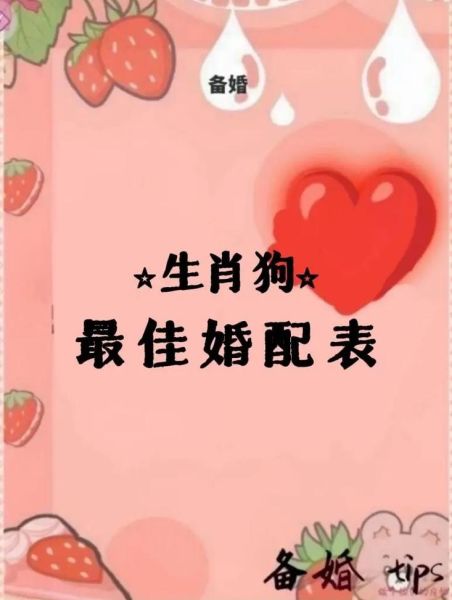 生肖狗婚配最佳属相（属狗和什么属相最配）