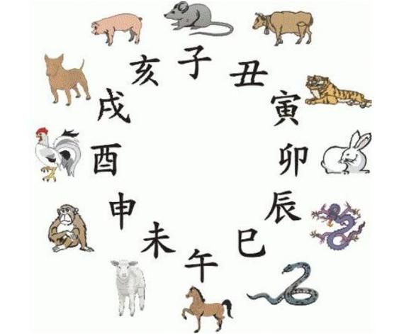 虎不宜配的生肖属相（虎不宜配的生肖有哪些）