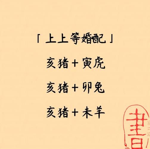生肖猪最佳伴侣属相（生肖猪最佳伴侣属相是哪些）