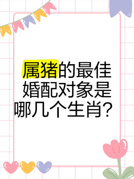生肖猪最佳伴侣属相（生肖猪最佳伴侣属相是哪些）