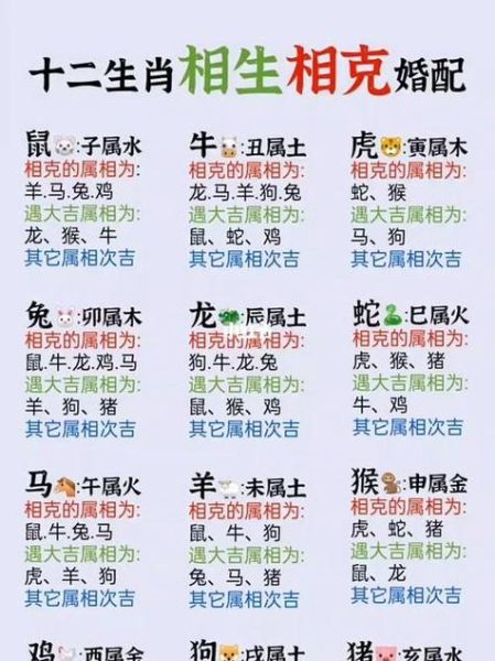 生肖马和生肖属相冲（生肖马和什么属相相冲详解）