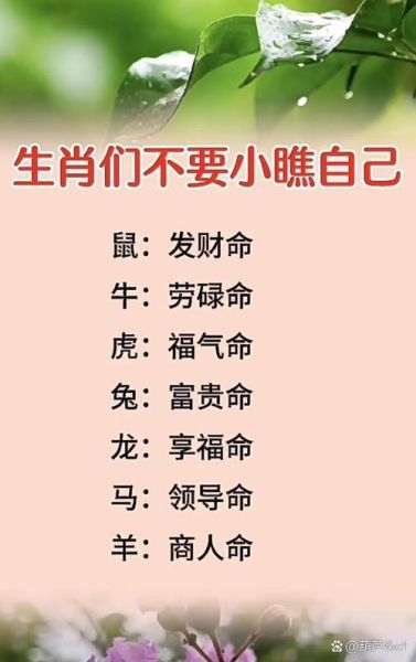 生肖属相信不信