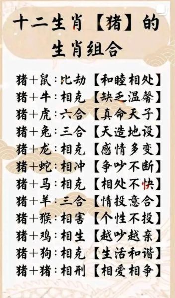 生肖猪搭配属相（属猪和什么属相最配？速查指南😉）