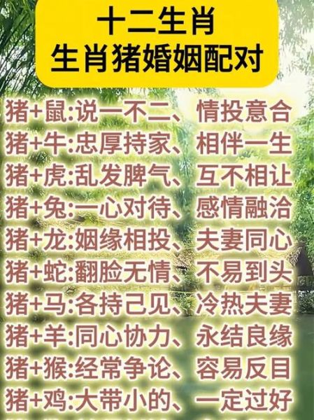 生肖猪搭配属相（属猪和什么属相最配？速查指南😉）
