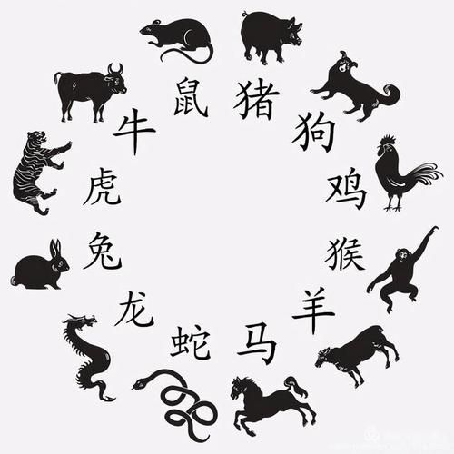 田明属什么生肖属相
