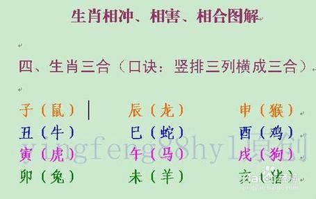 风水学生肖与属相（风水学生肖与属相宜忌对照表）